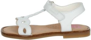 Pablosky Sandalen 419600