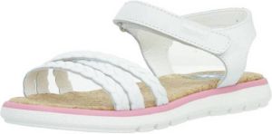 Pablosky Sandalen 422200P