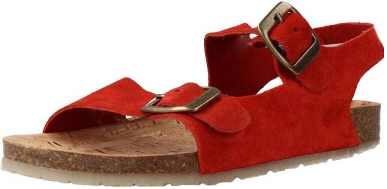 Pablosky Sandalen 505768P