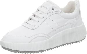 Palpa Sneakers