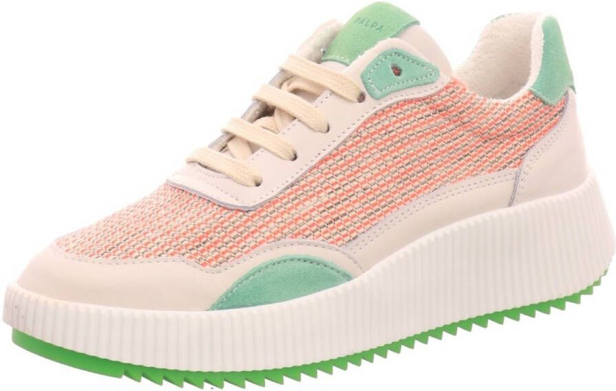 Palpa Veterschoenen Laag Veterschoenen Laag groen - Foto 3