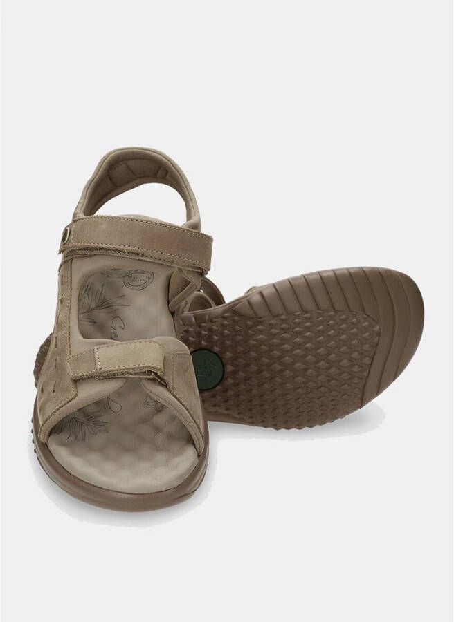 Panama Jack Taupe Platte Sandalen voor Vrouwen Beige Dames - Foto 6