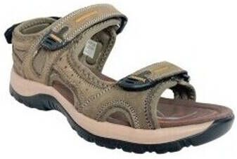 Paredes Sandalen Sandalia señora 22176 marron
