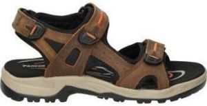 Paredes Sandalen SANDALIAS VP22174 CABALLERO MARRON