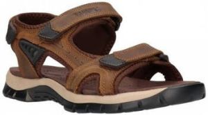 Paredes Sandalen