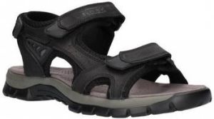 Paredes Sandalen