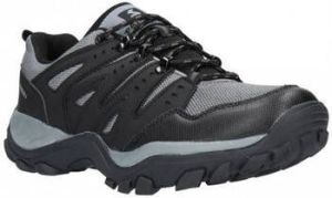 Paredes Sneakers