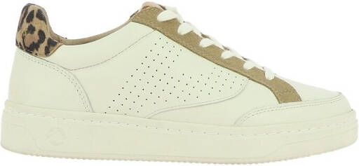 Pataugas Sneakers BASALT MIXL F4I