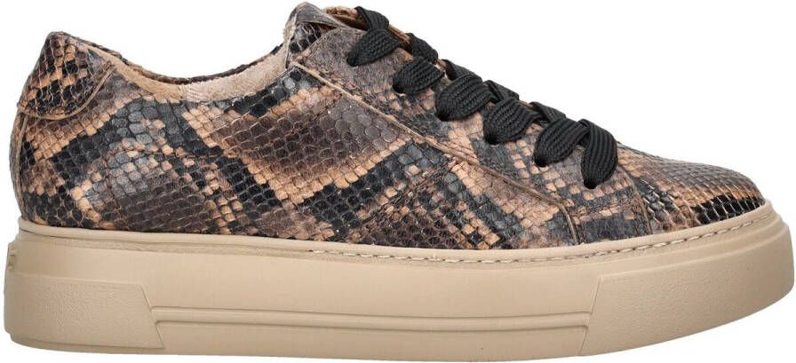 Paul Green Lage Sneakers Sneaker