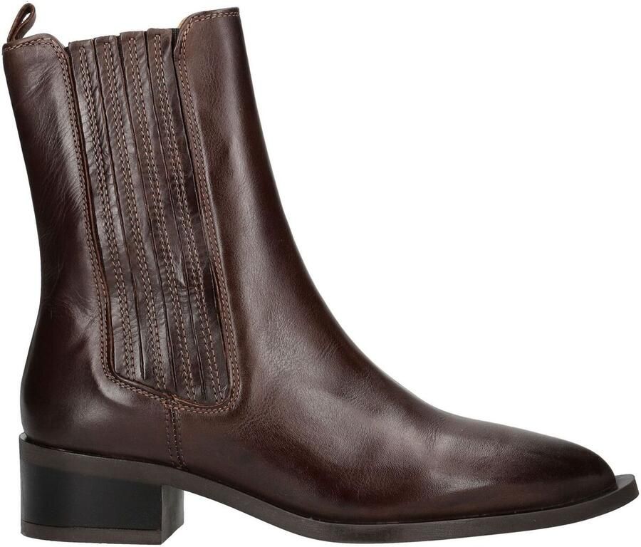 Pavement Enkellaarzen SHANI