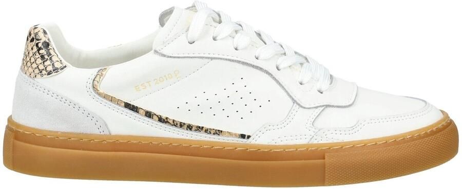 Pavement Lage Sneakers Sneaker