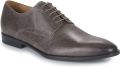 Pellet Nette schoenen ALIBI - Grijs