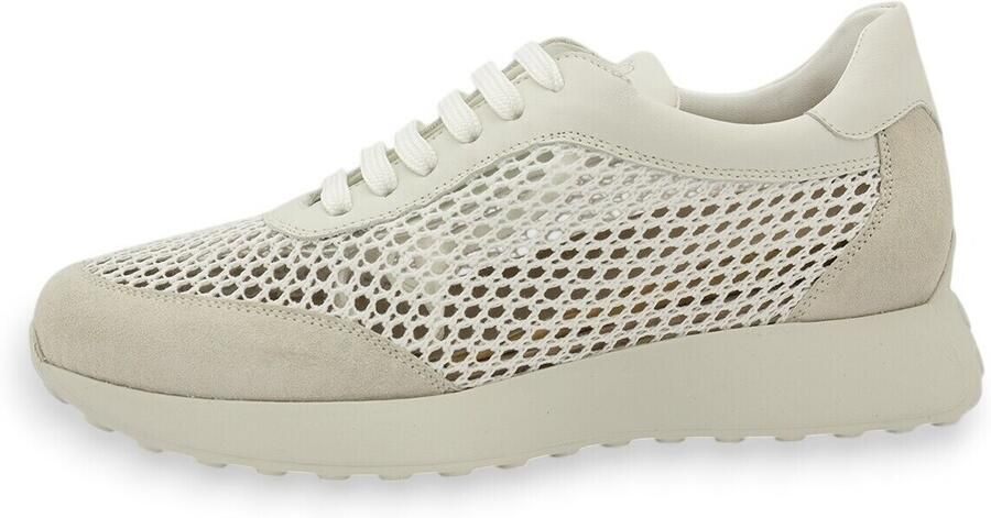 Piesanto Lage Sneakers 260724