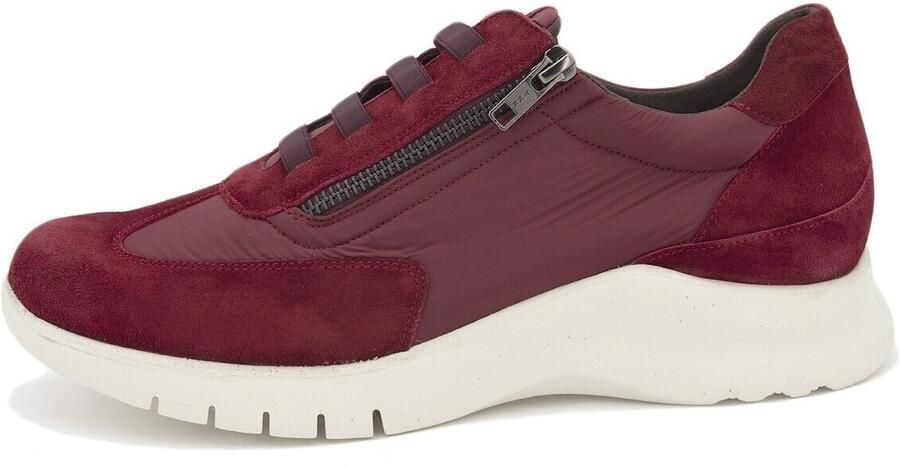 Piesanto Sneakers 245702