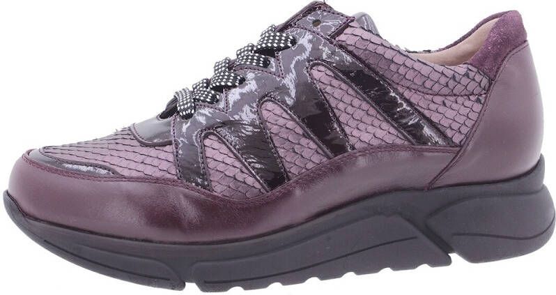 Piesanto Sneakers 205763