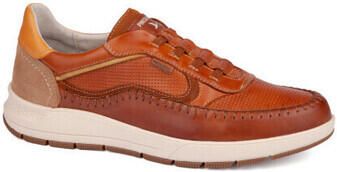 Pikolinos Lage Sneakers salamanca6423c1