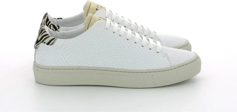 Piola Sneakers Baskets femme Huaraz Li