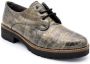 Pitillos Elegante Damesschoenen Gray Dames - Thumbnail 7