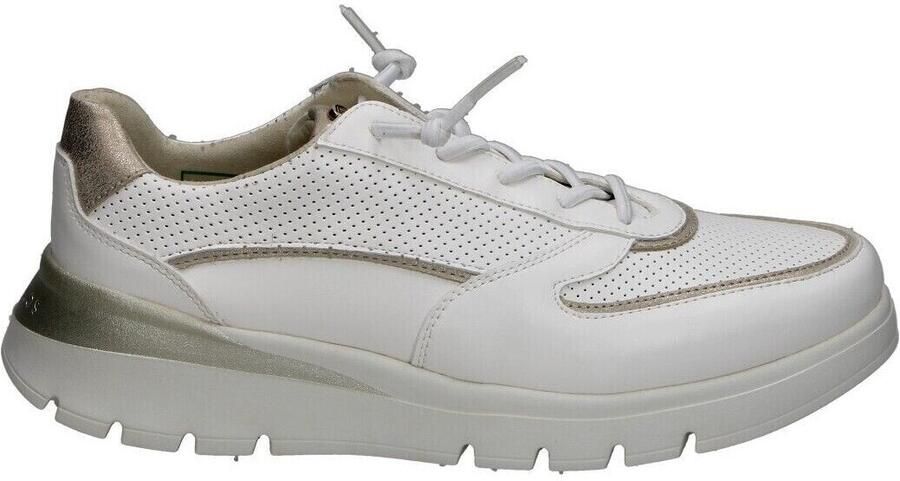 Pitillos Lage Sneakers 116816