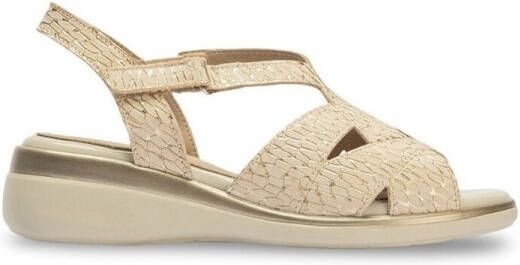 Pitillos Sandalen 10341