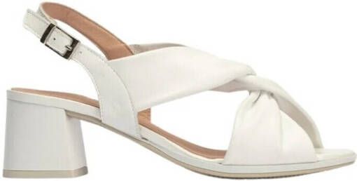 Pitillos Sandalen 5696