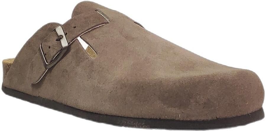 Plakton Klompen Blog