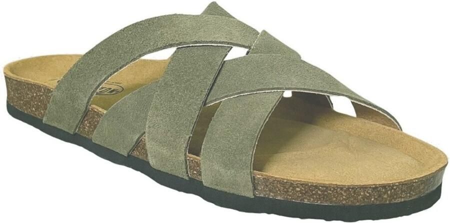 Plakton Slippers Bad