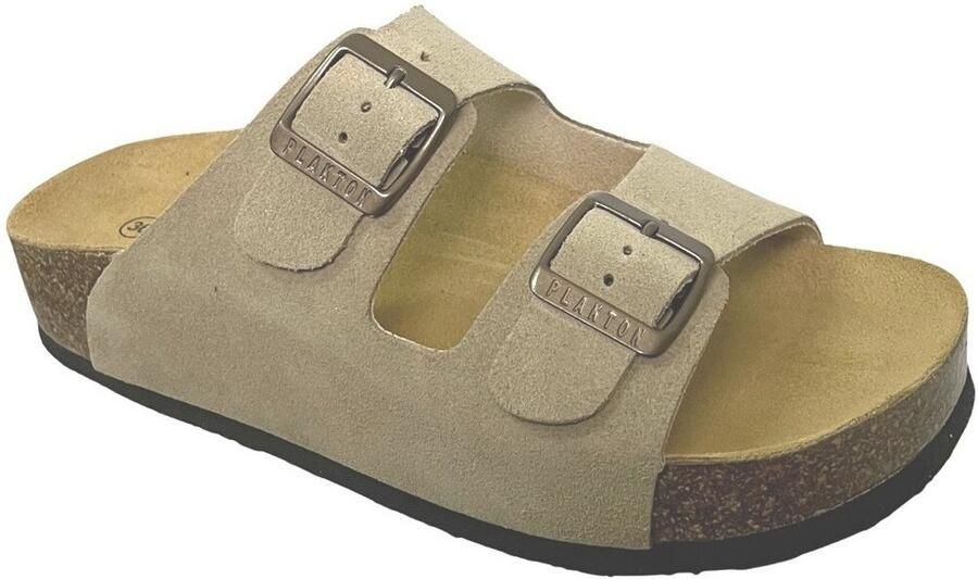 Plakton Slippers Cp beta