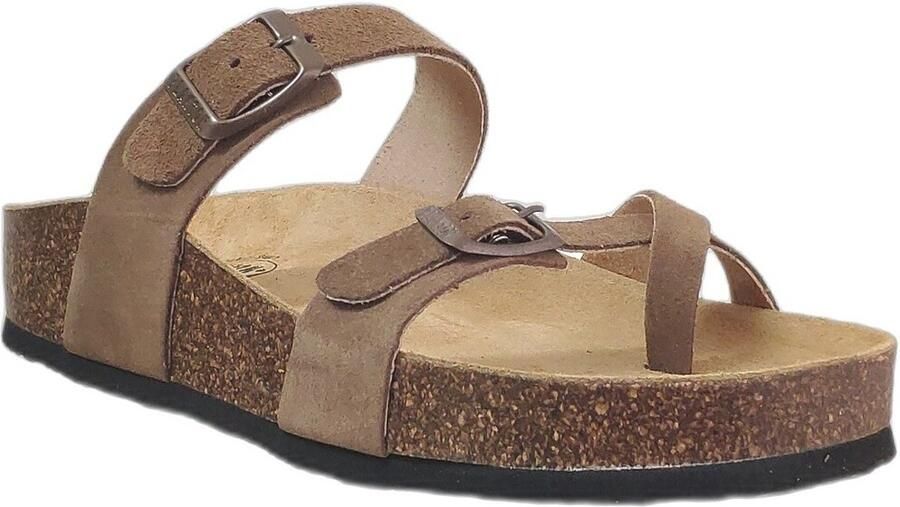 Plakton Slippers Cp bombay