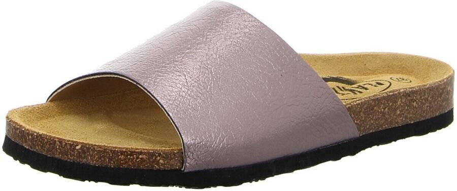 Plakton Slippers