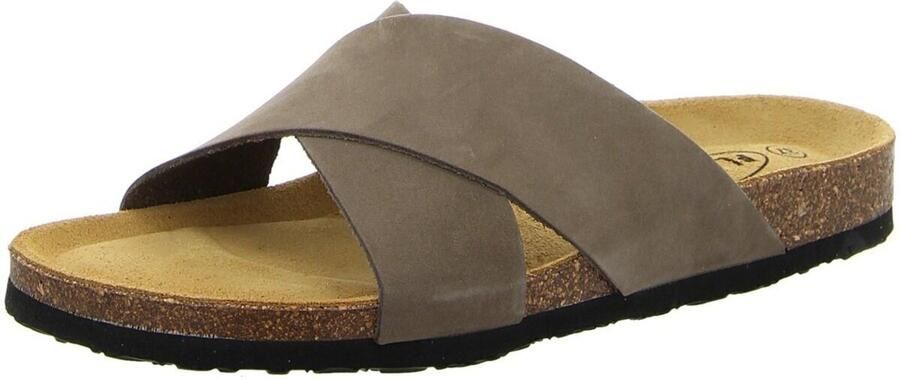 Plakton Slippers