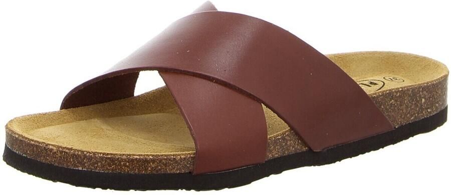 Plakton Slippers