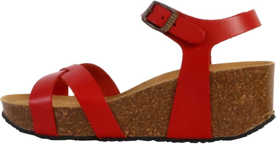 Plakton Sandalen 250436