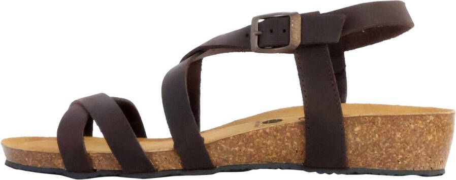 Plakton Sandalen 250991