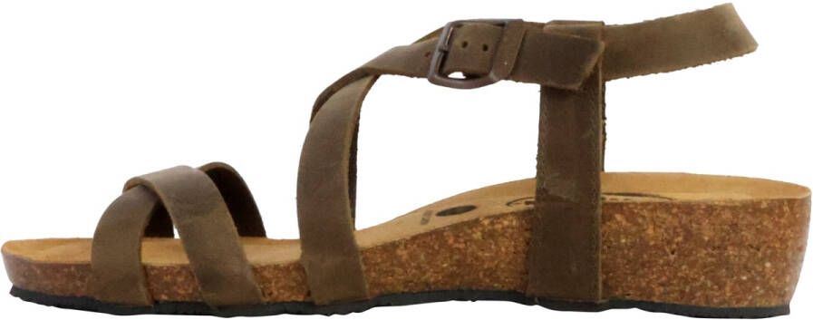 Plakton Sandalen 251009