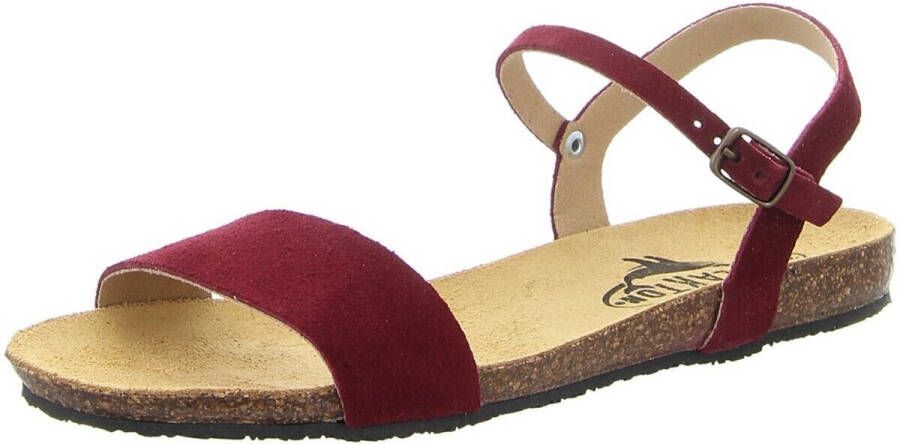 Plakton Sandalen