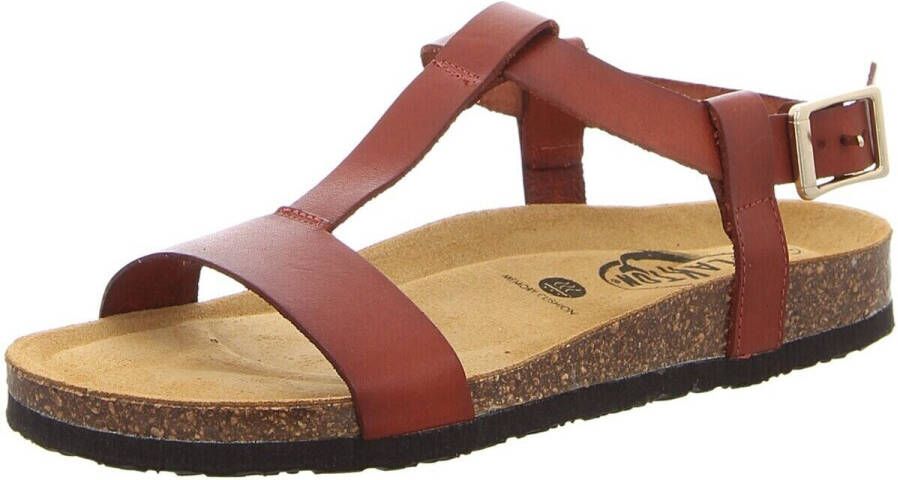 Plakton Sandalen