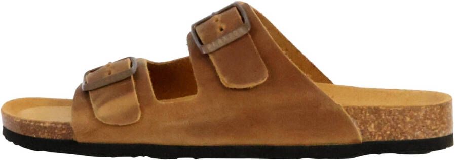 Plakton Slippers 250247