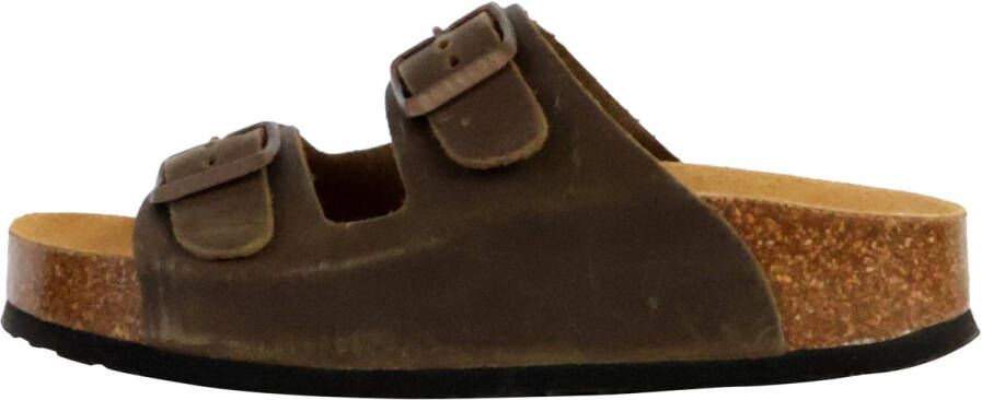 Plakton Slippers 250332
