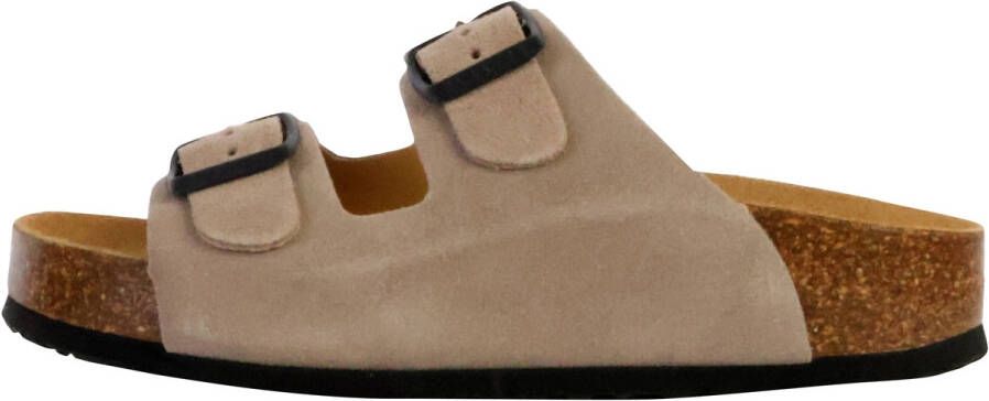 Plakton Slippers BETA MET