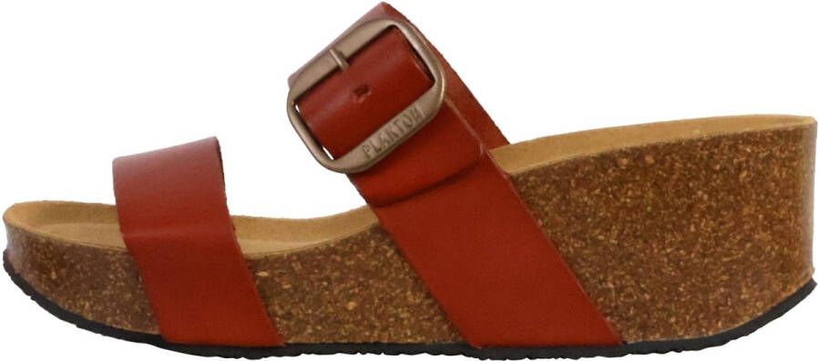 Plakton Slippers 250454
