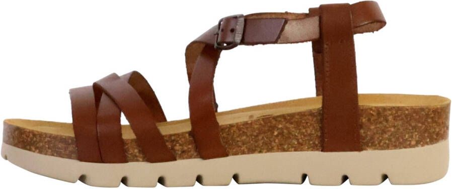 Plakton Slippers 250874