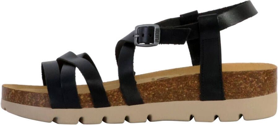Plakton Slippers 250880