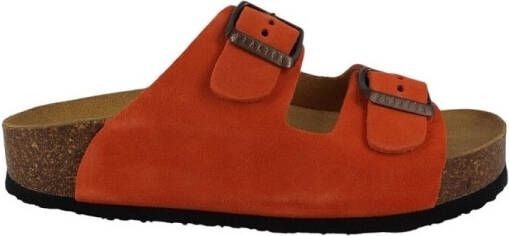 Plakton Slippers BETA MET