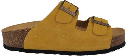 Plakton Slippers BETA MET