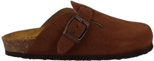 Plakton Slippers BLOGG