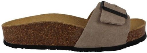 Plakton Slippers CP BIS 3