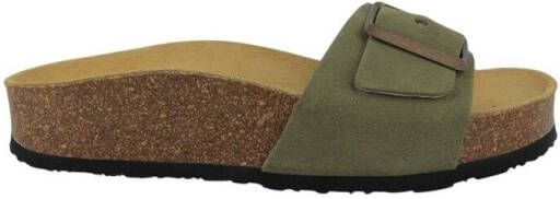Plakton Slippers CP BIS 3