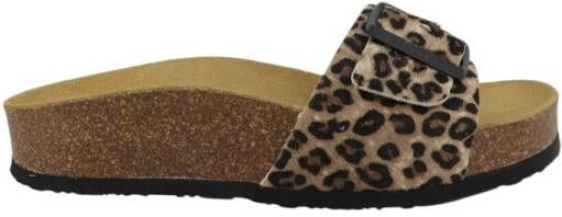 Plakton Slippers CP BIS 3