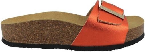 Plakton Slippers CP BIS 3